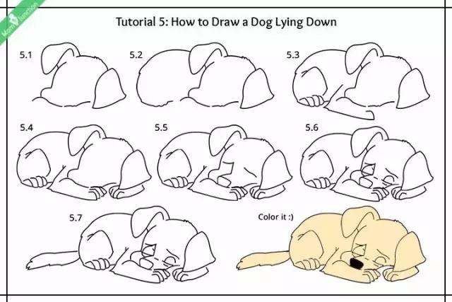 九种小狗的简笔划法详细教程,送给宅家的孩子